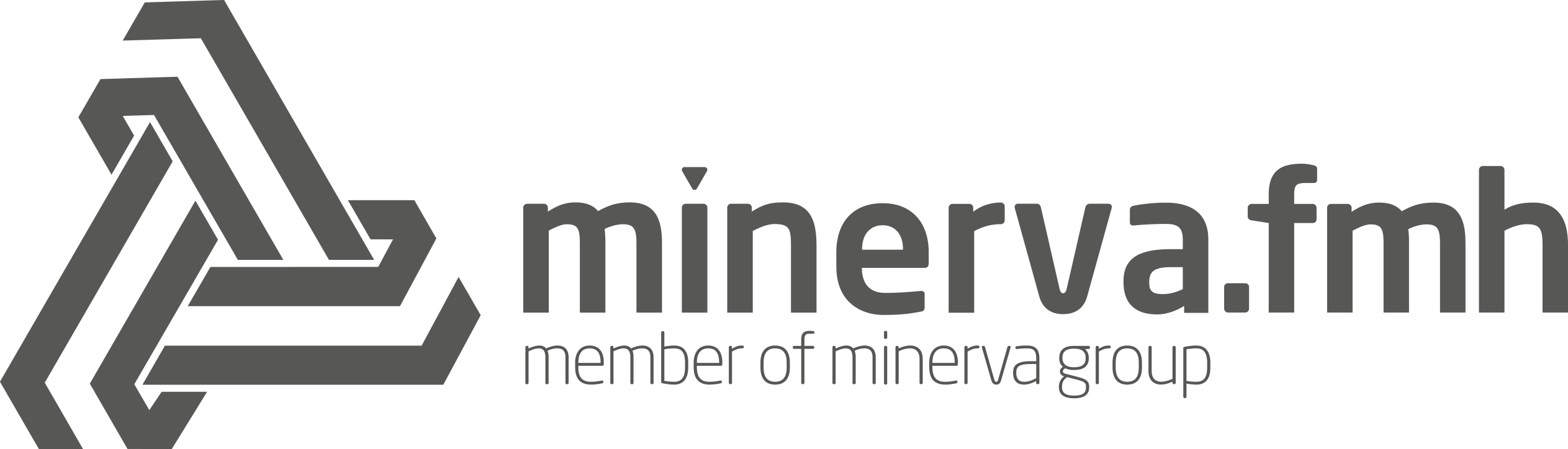 The Group Minerva